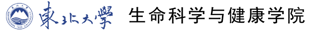 37000cm威尼斯